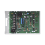 CUADERNO ESTRELLA ITALIANA RAYADO 100HJS